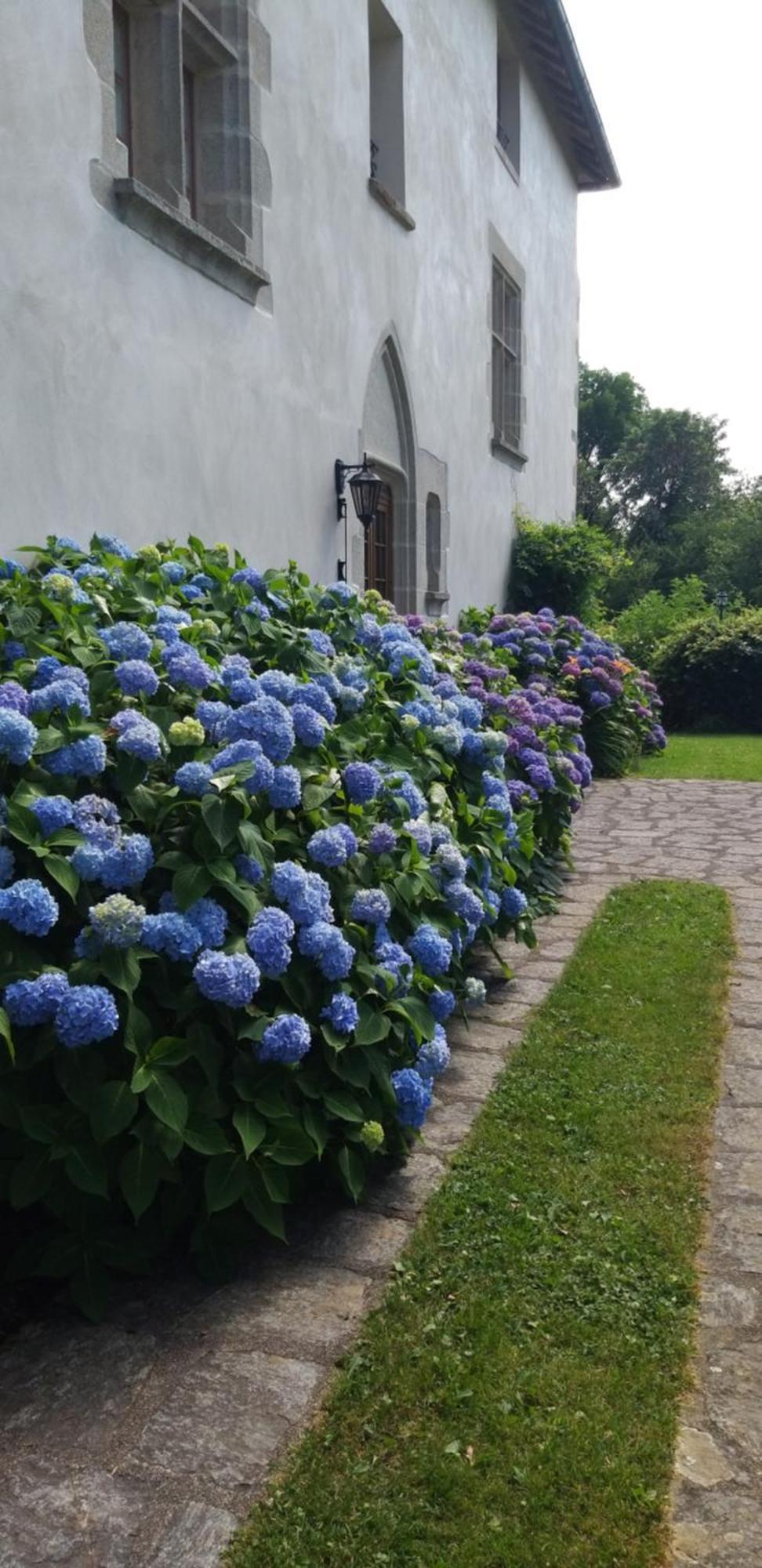 Manoir XV Domaine De Peyrafort Tulle Exterior foto